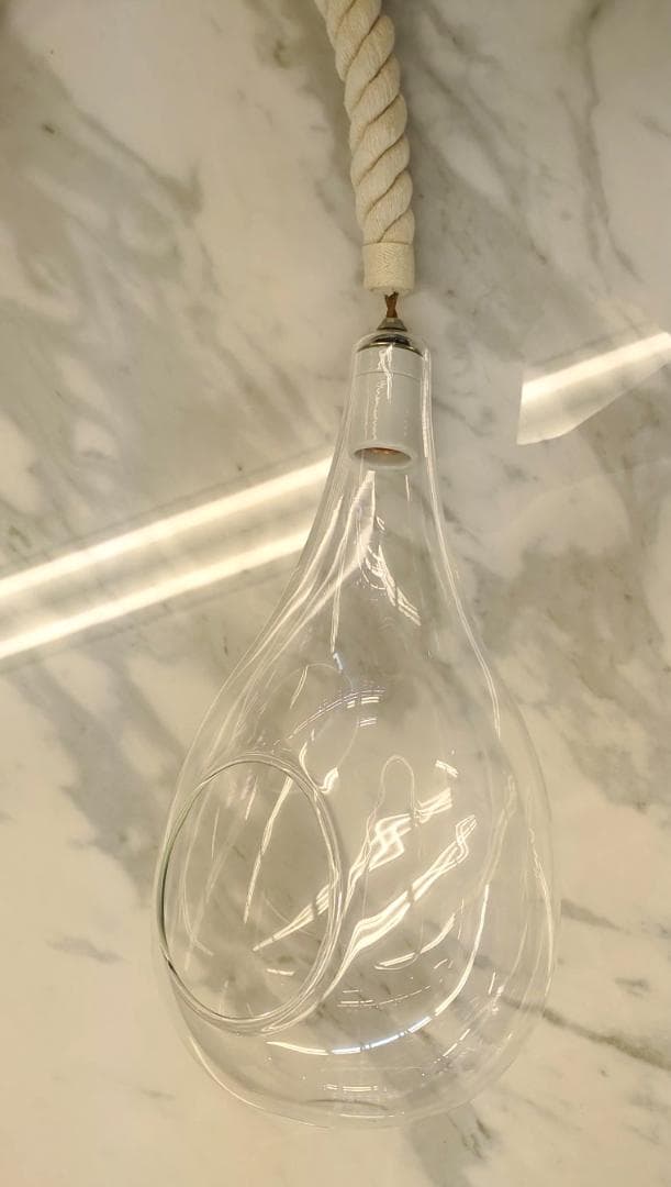 〈即購入可・現状渡し〉ボタニックライト ハンギング ライト 点灯確認済 電球無