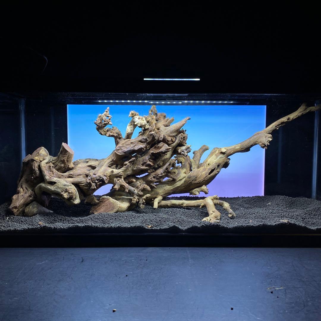 MSW-6439 /90cm水槽用天然流木　2本セット　枝流木　アクアリウム