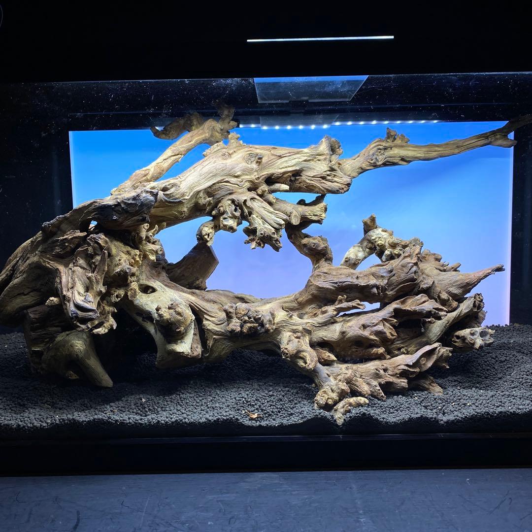 MSW-6439 /90cm水槽用天然流木　2本セット　枝流木　アクアリウム