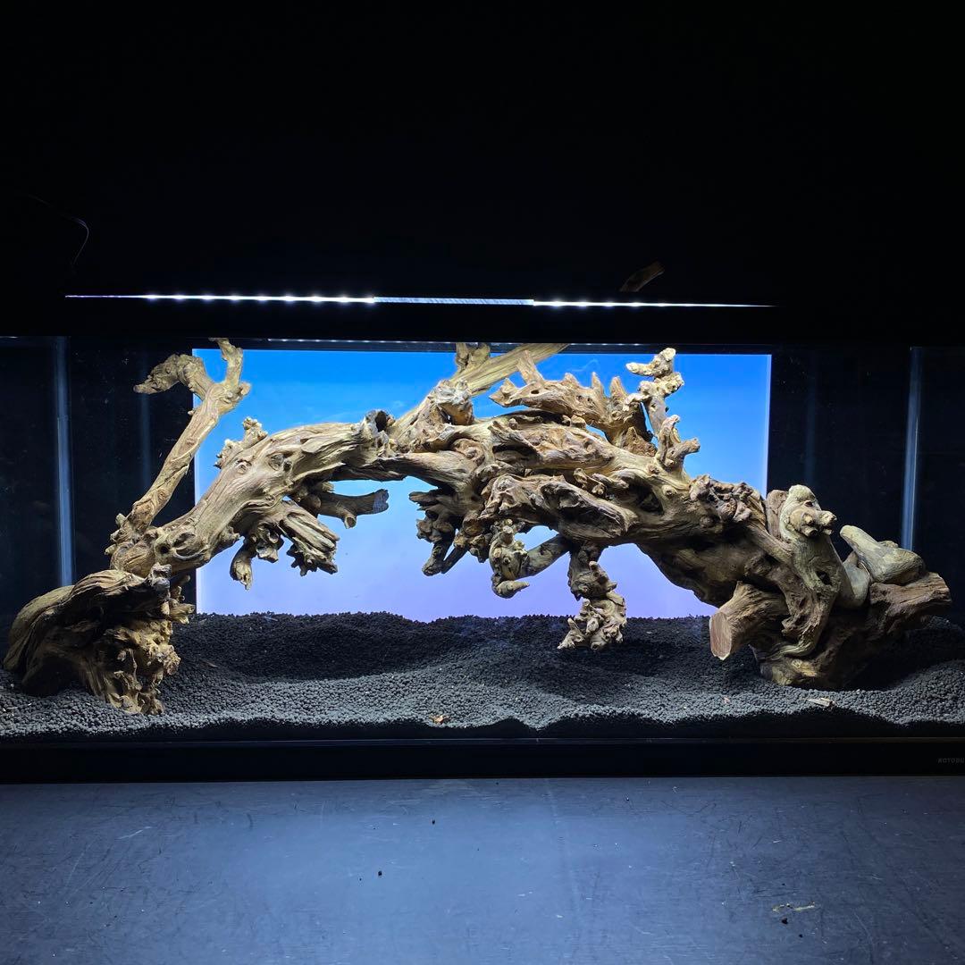 MSW-6439 /90cm水槽用天然流木　2本セット　枝流木　アクアリウム