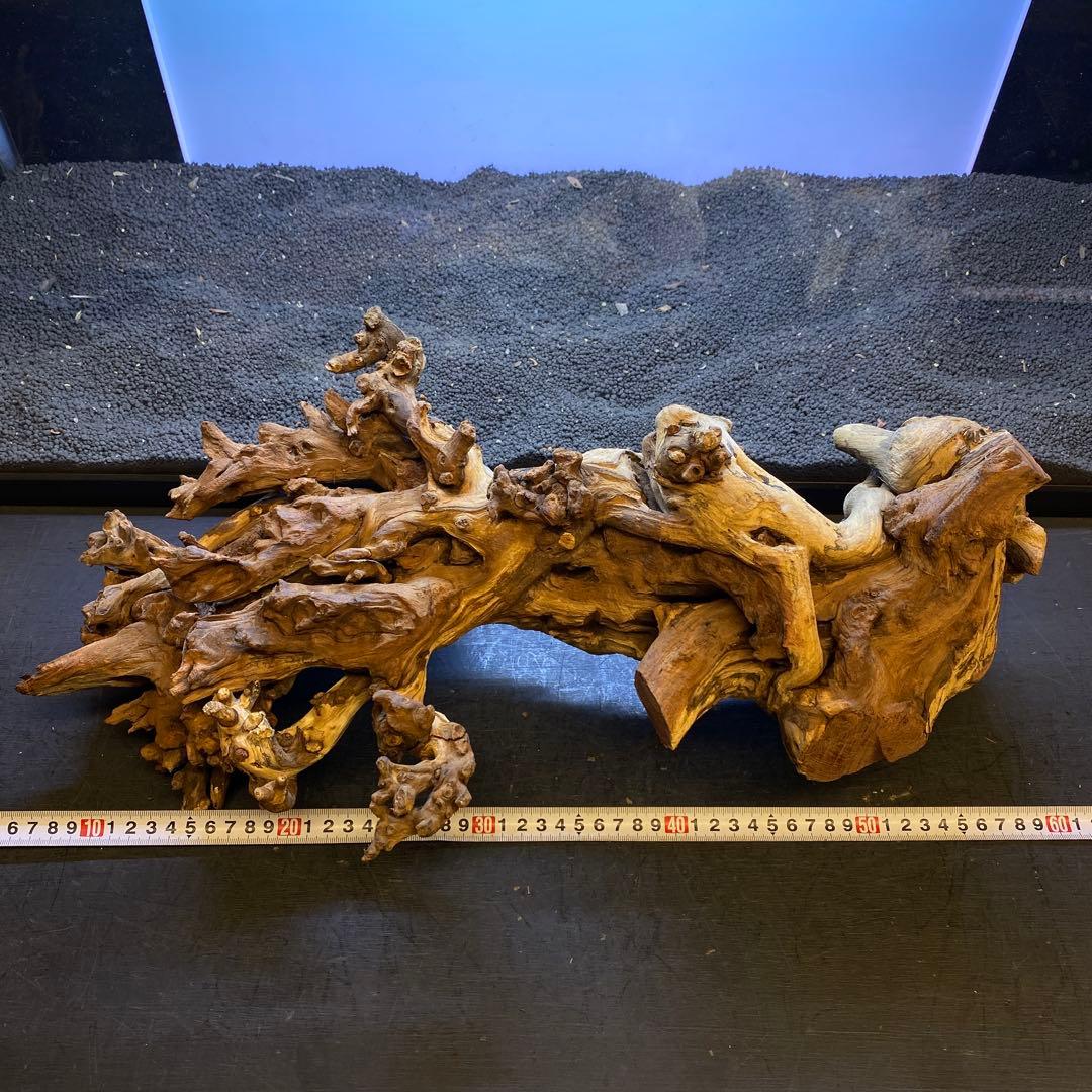 MSW-6439 /90cm水槽用天然流木　2本セット　枝流木　アクアリウム
