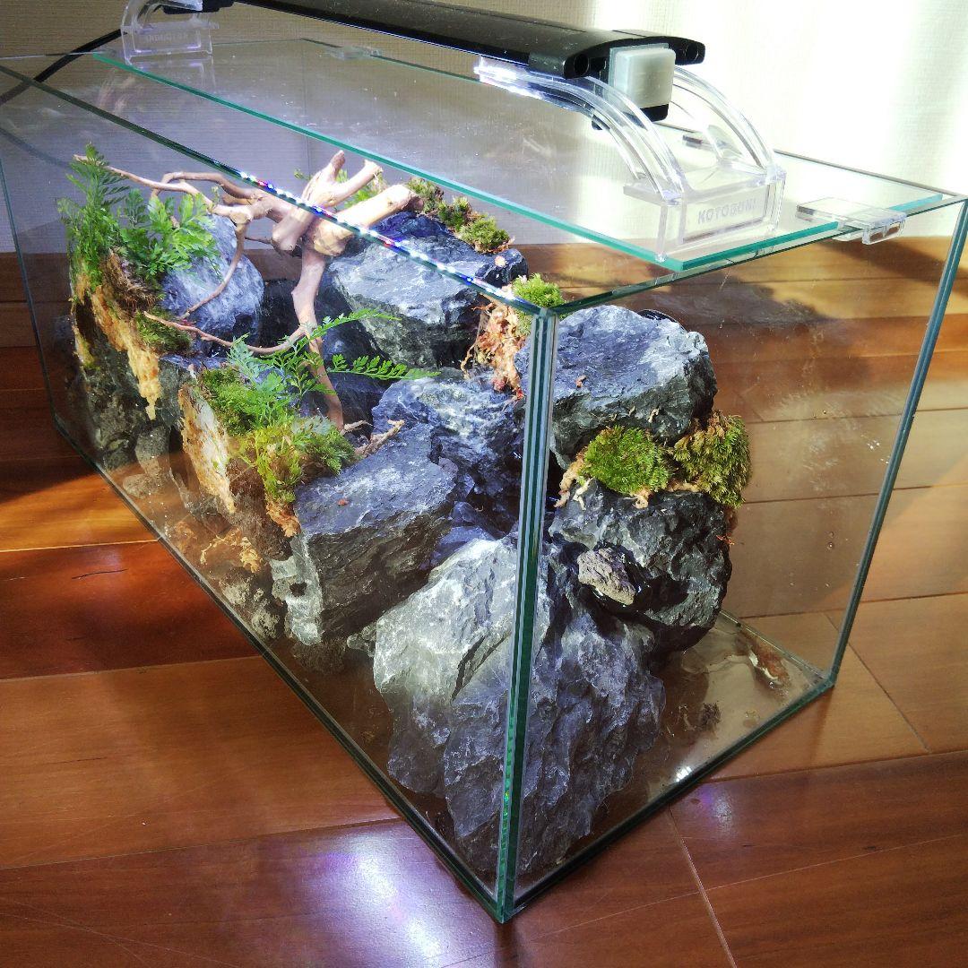 【受注生産】横から見るアクアテラリウム