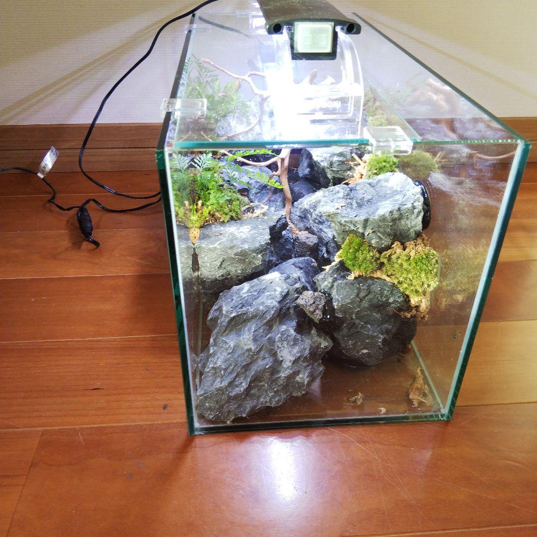 【受注生産】横から見るアクアテラリウム