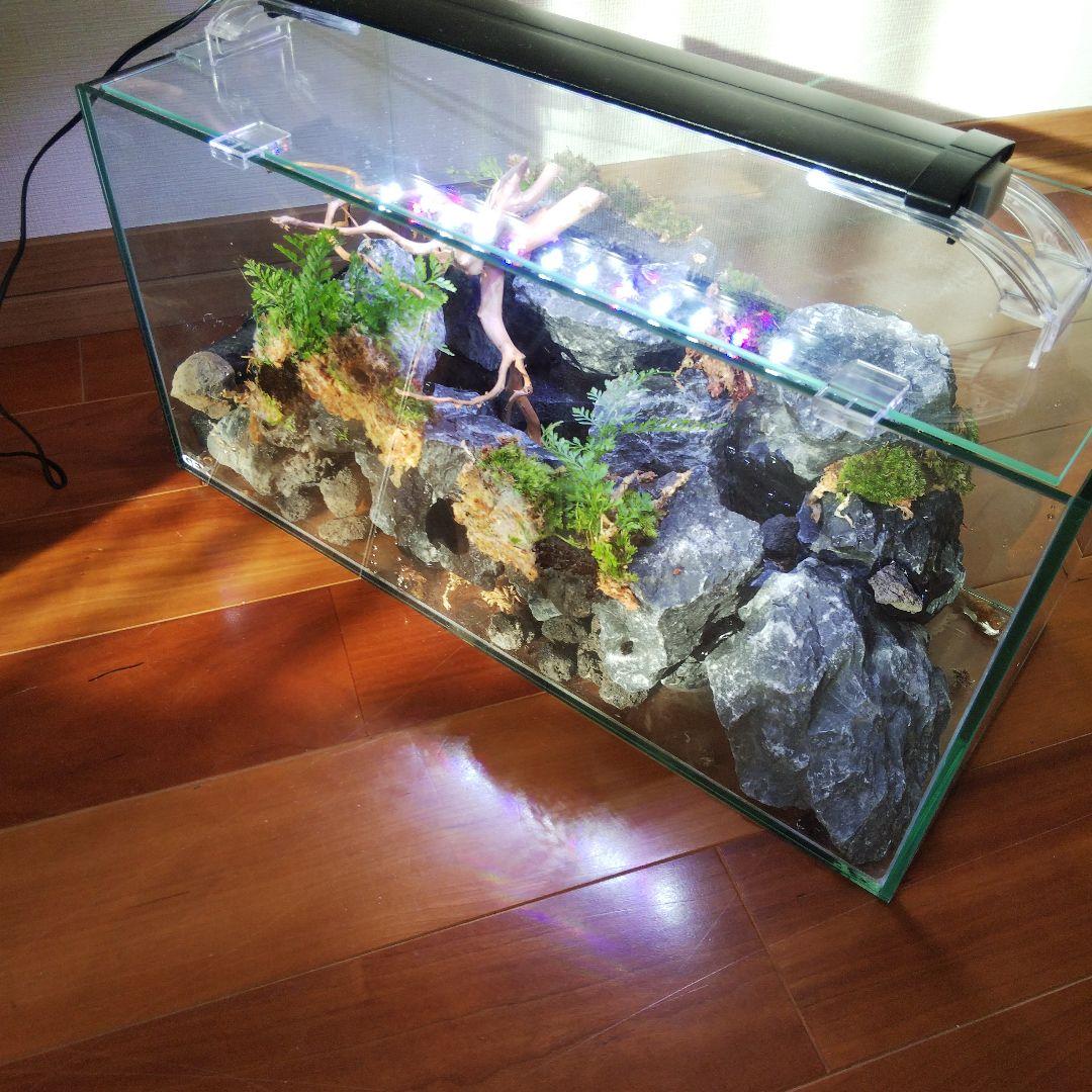 【受注生産】横から見るアクアテラリウム