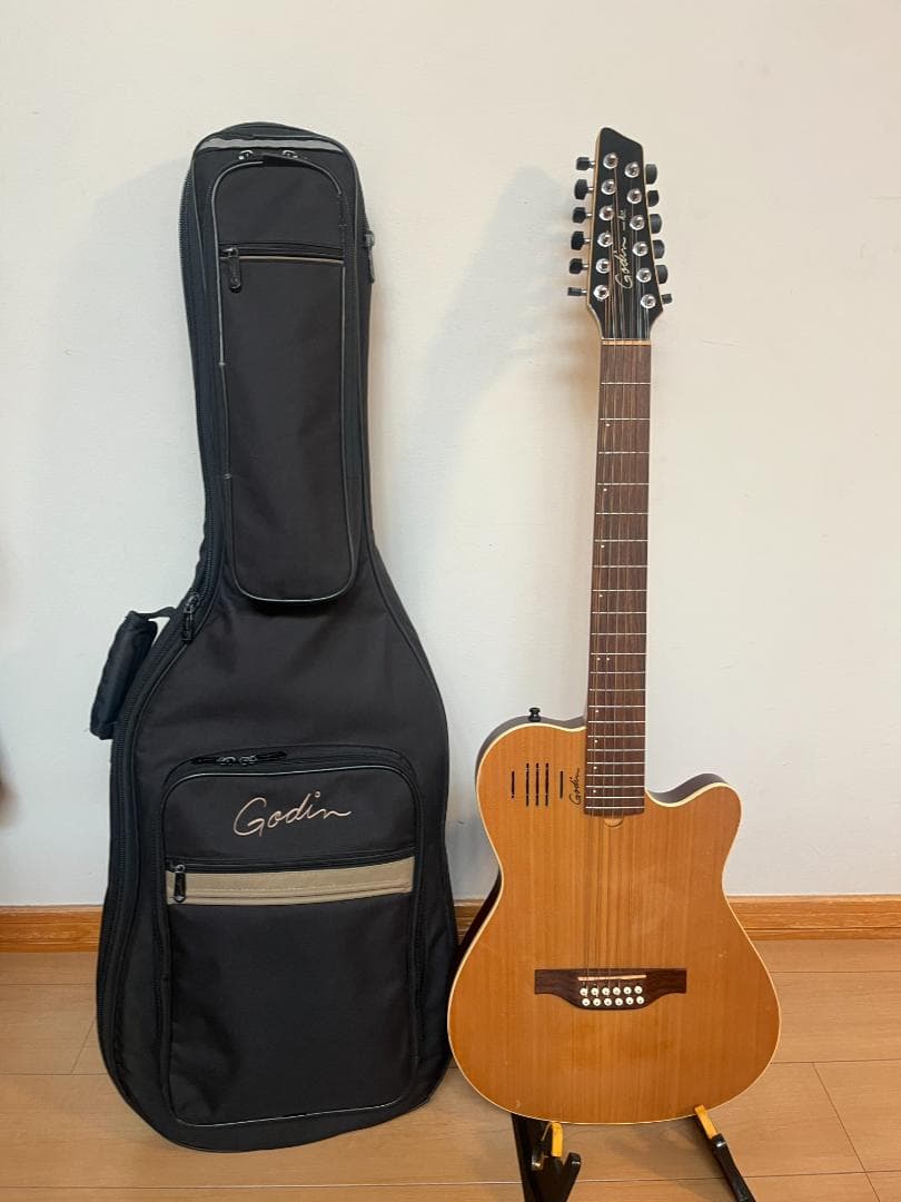 GODIN　ゴダン　アコースティックギター　A１２　１２弦ギター　エレアコ