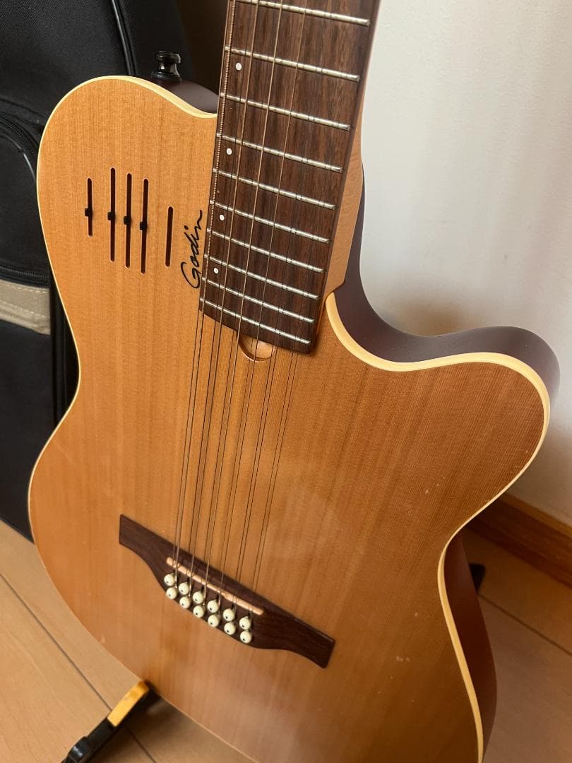 GODIN　ゴダン　アコースティックギター　A１２　１２弦ギター　エレアコ