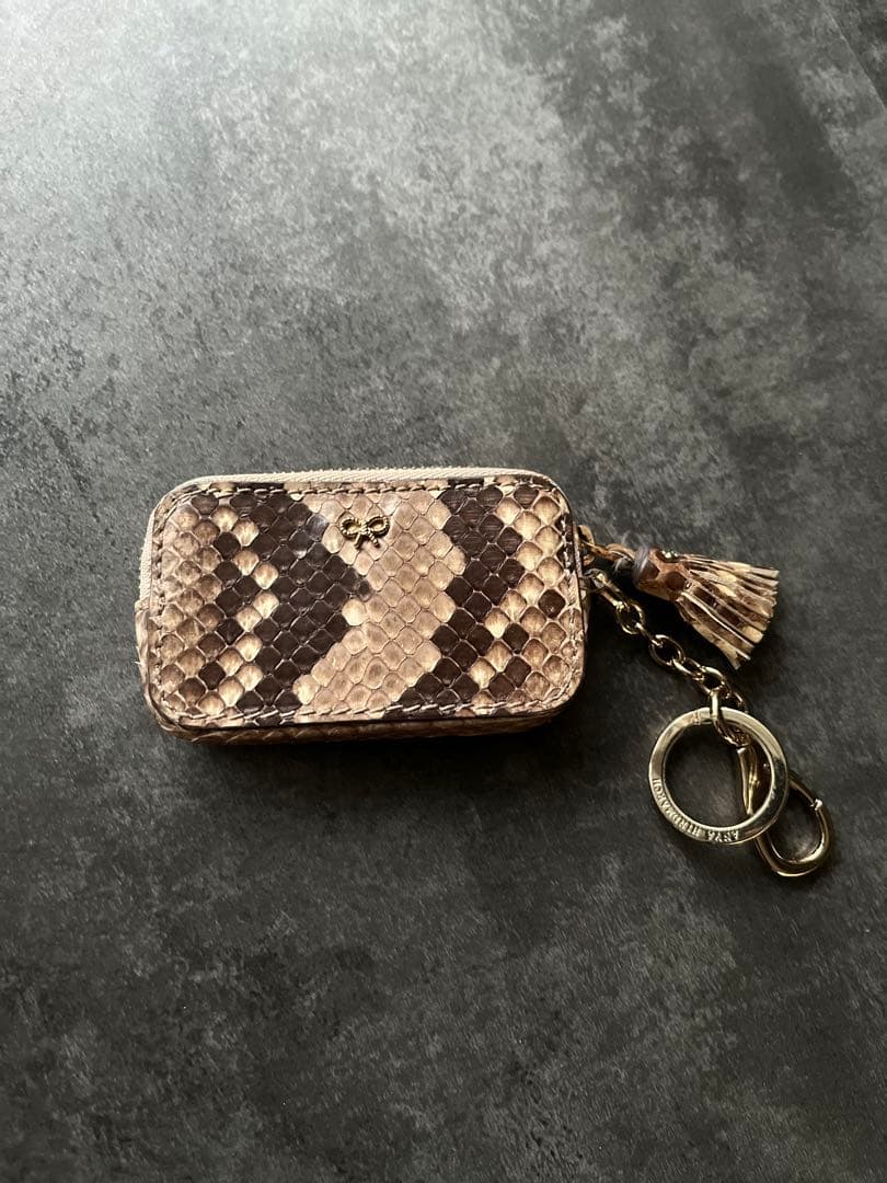 アニヤハインドマーチ　ケース