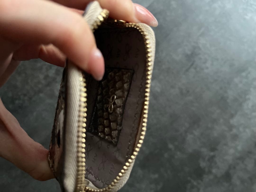 アニヤハインドマーチ　ケース