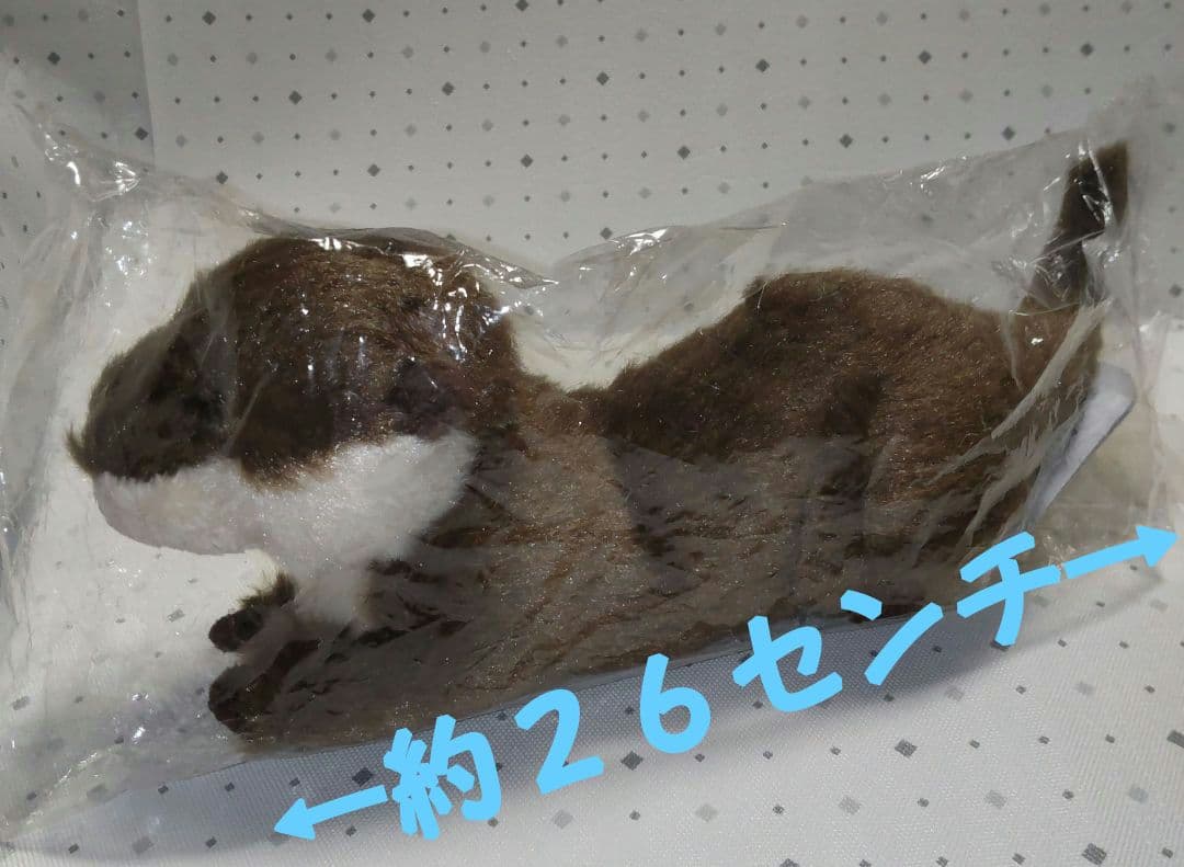 サンレモン カワウソ ぬいぐるみ