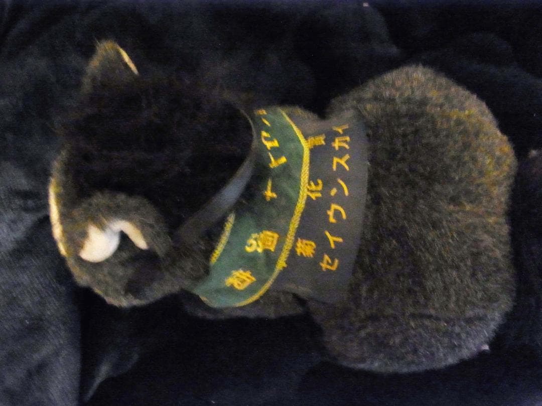 セイウンスカイ　AVANTI　ぬいぐるみ 競馬