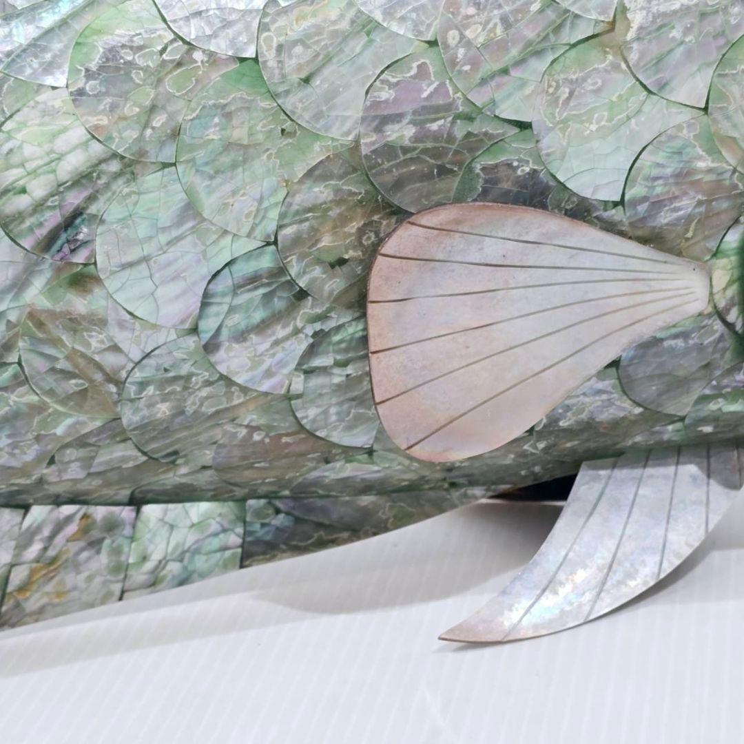 ヴィンテージ アワビ パウア貝 魚の細工 孔雀貝 オブジェ 42cm 希少