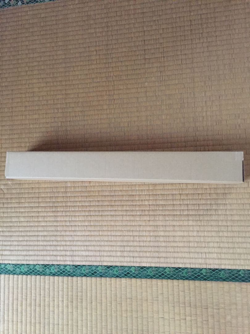 伊織もえ 等身大ポスター 新品未開封 アサ芸シークレット ビキニ姿で挑発