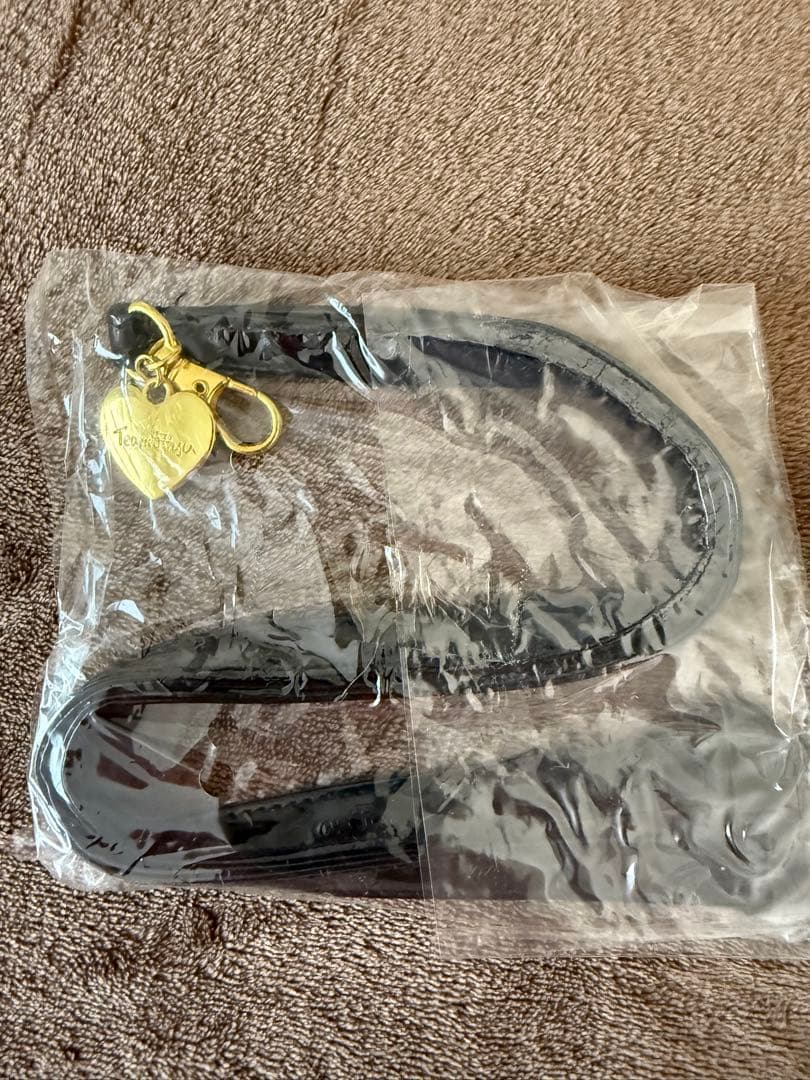 新品　浜崎あゆみ　teamAyu グッズ１０点セット