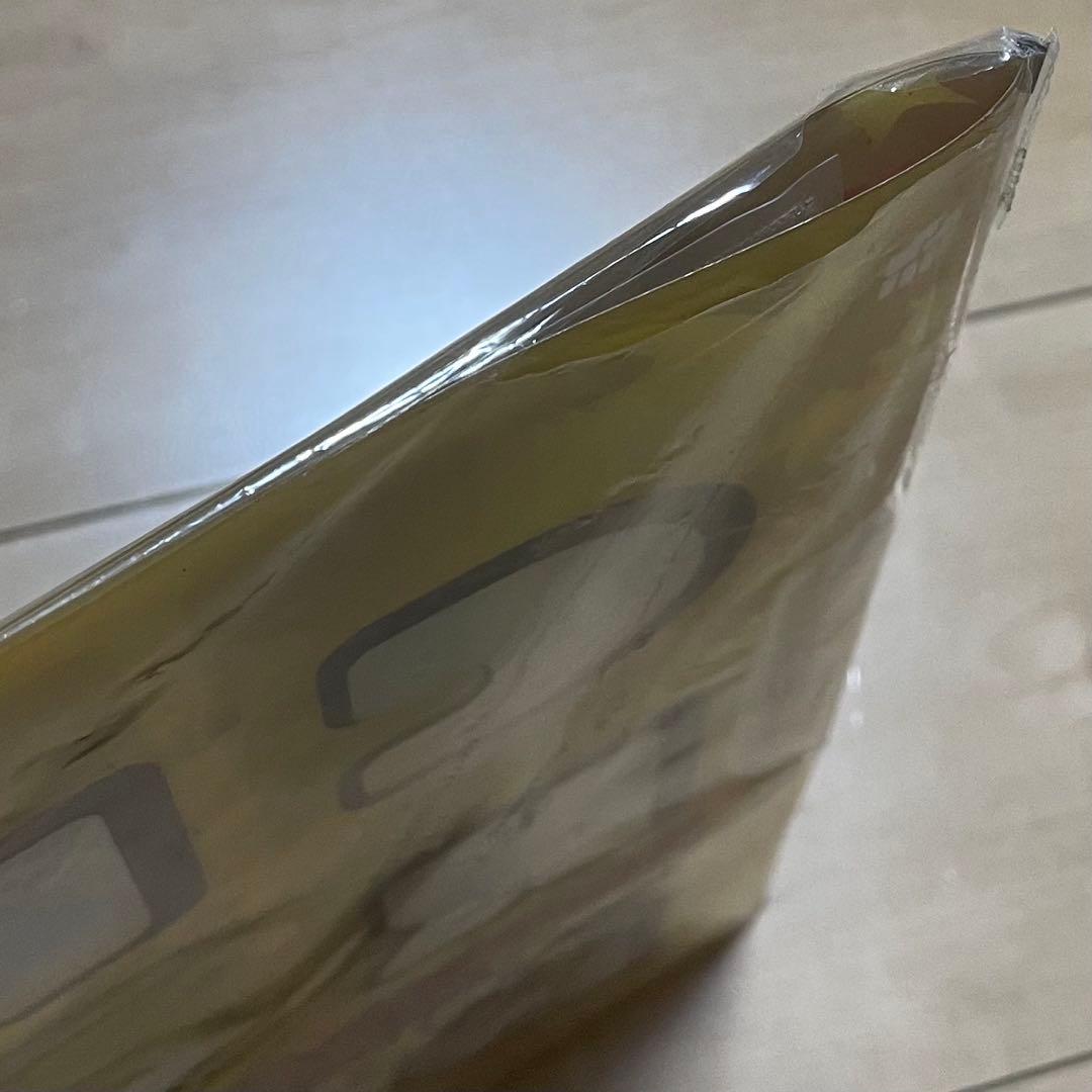 未開封 ポケモン ピカチュウワールドコレクション ファイル 海外 英語