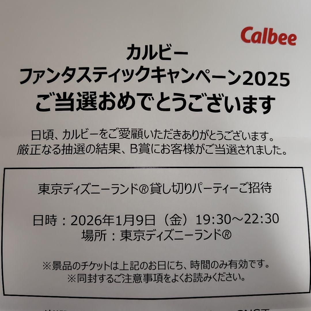 東京ディズニーランド　貸切　2名分