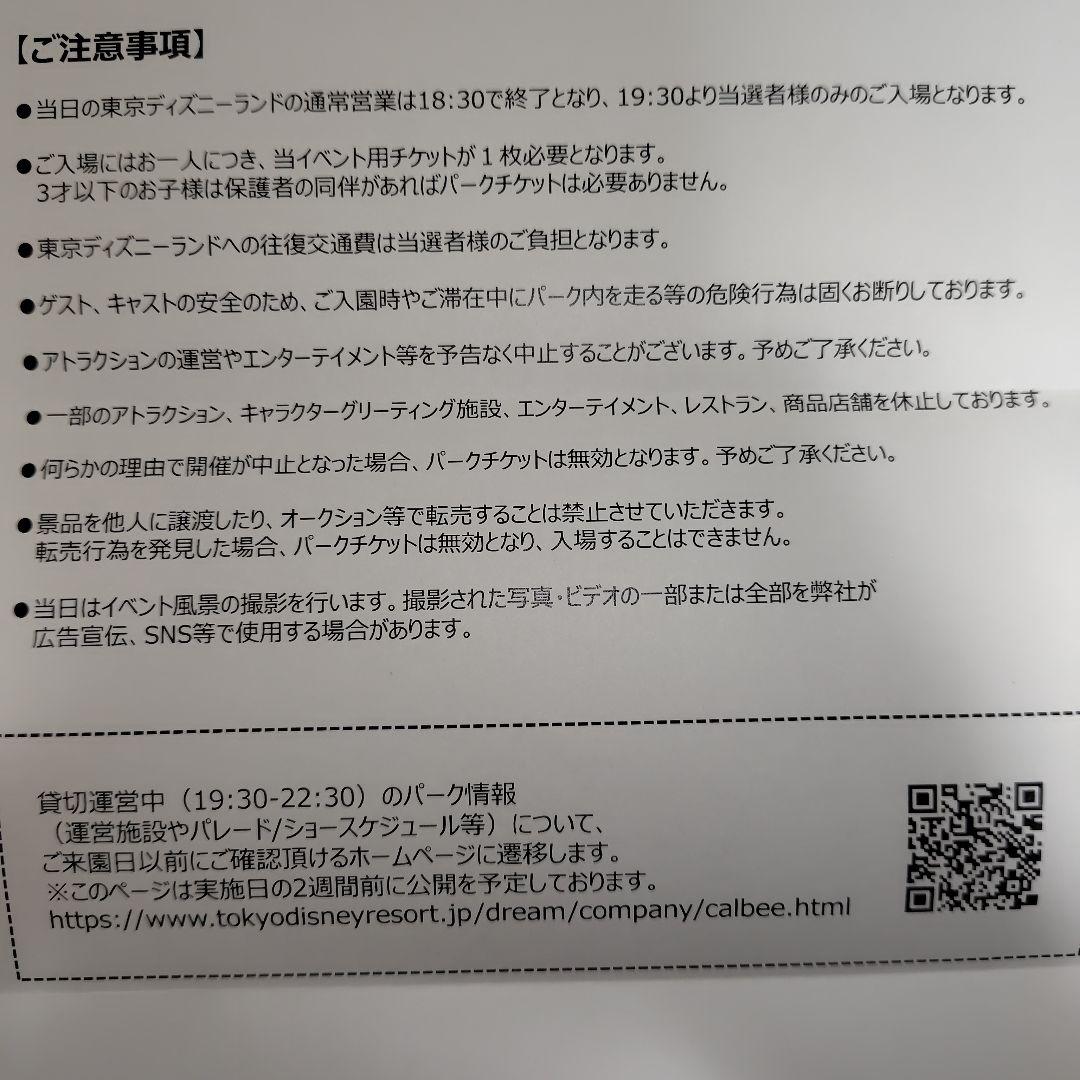 東京ディズニーランド　貸切　2名分