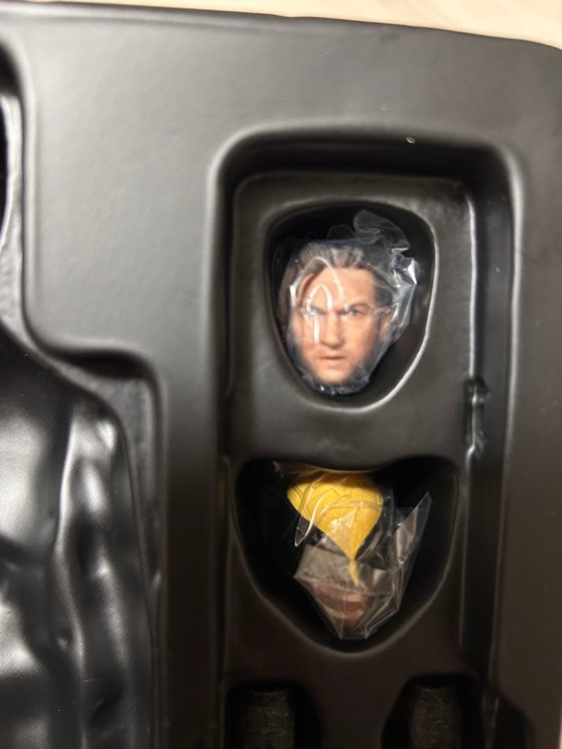 NWTOYS 1/12 アイアン ウォリアー Nwtoys01 ウルヴァリン