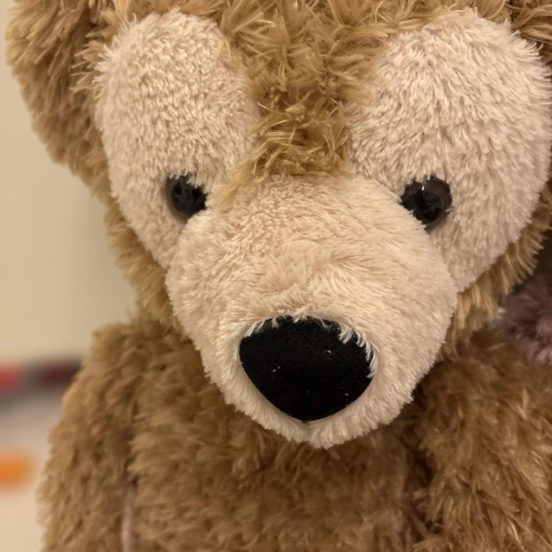 ダッフィー　シェリーメイ　 ぬいぐるみ2体セット