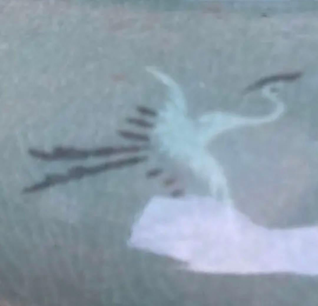 青山作　特大壺　青磁　透かし 雲鶴紋　二層網目　訳あり　花瓶　網目彫　緑色　双耳