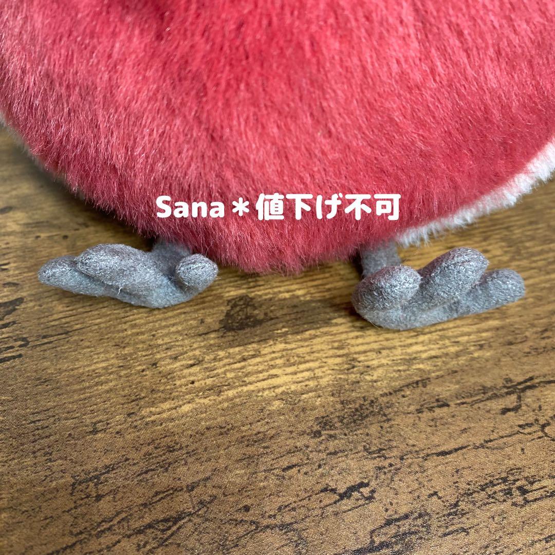 新作　新品　ジェリーキャット　ロビン　鳥　robin コマドリ　bird 冬