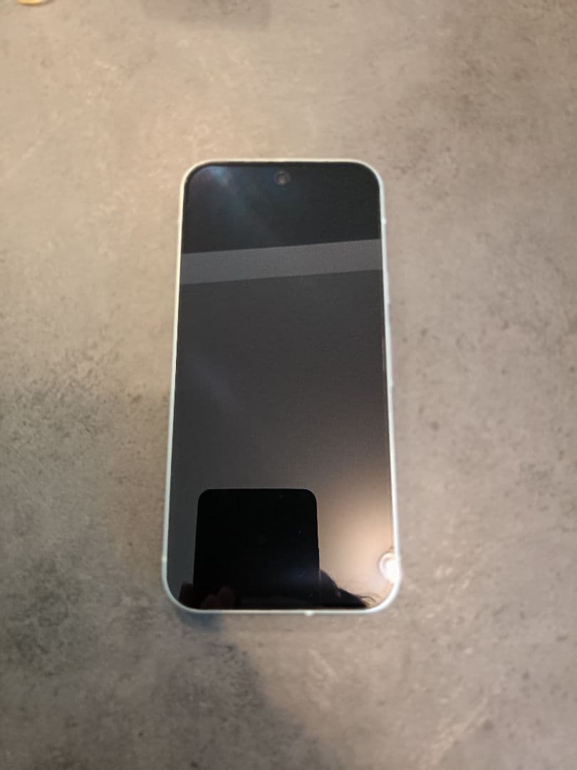 【ほぼ新品】Google Pixel 9 Winter Green SIMフリー