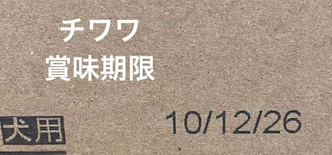  CANIN チワワ 12kg