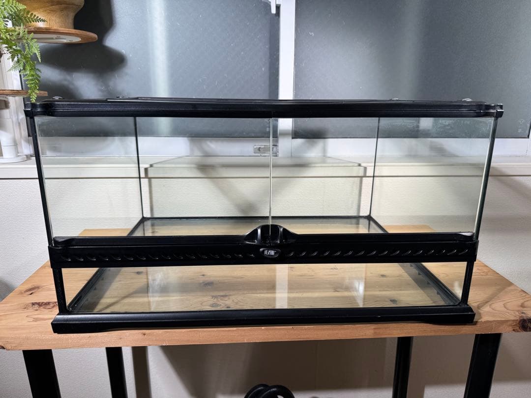 爬虫類　飼育セット　フトアゴ　リクガメ