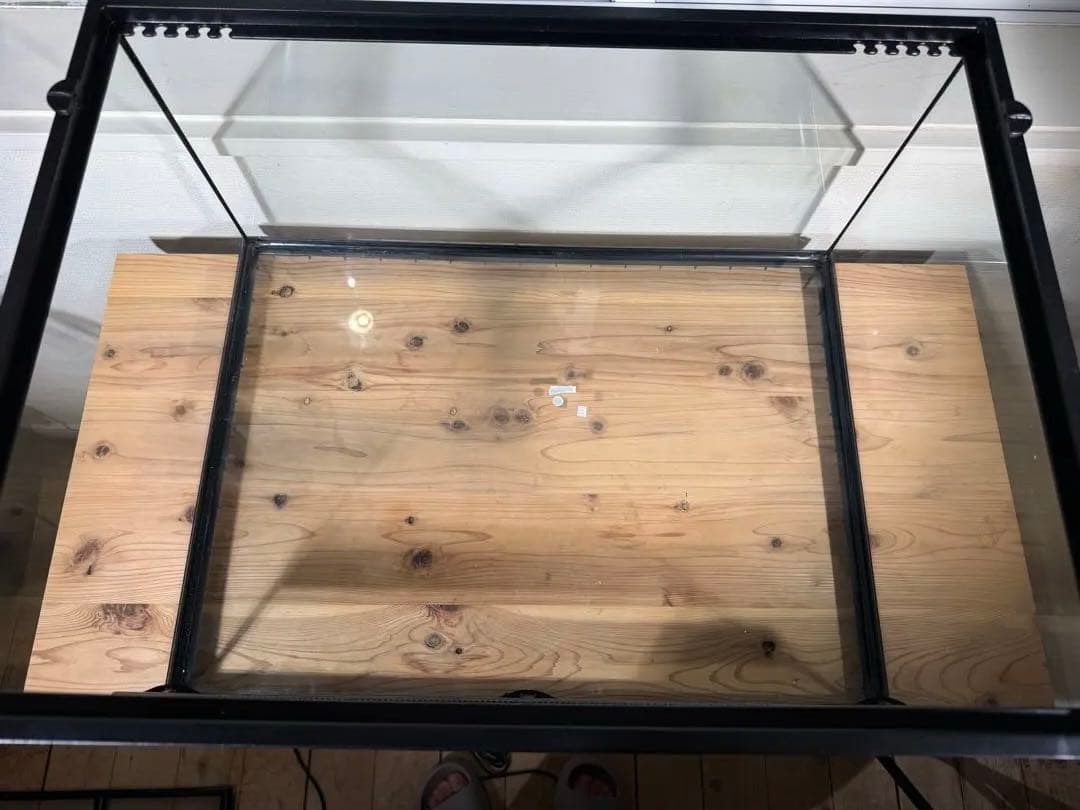 爬虫類　飼育セット　フトアゴ　リクガメ