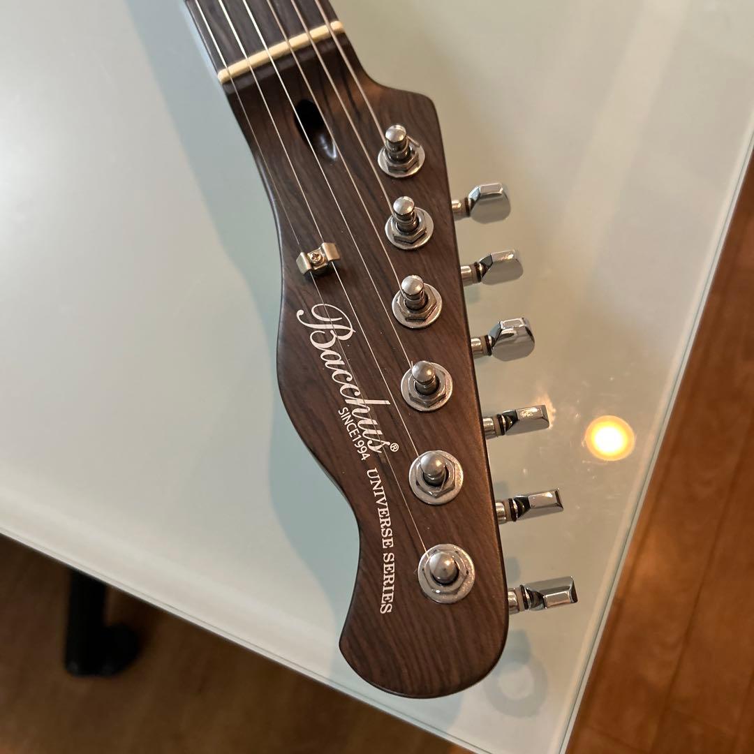 Bacchus BTE-TW NS / バッカス オールローズ風 テレキャスター