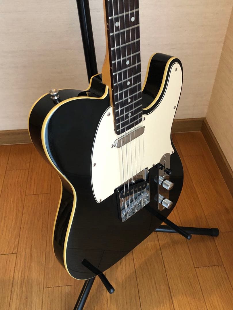 Bacchus テレキャスター ダブル バインディング　BTC-1R BLK