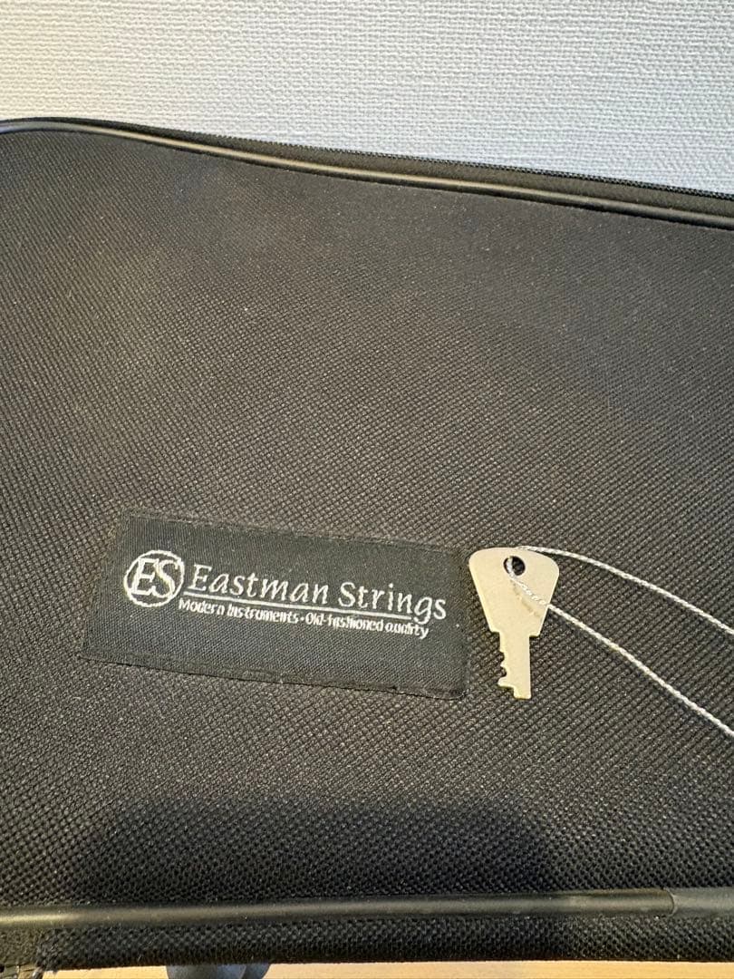 EASTMAN 1/4 バイオリン 2021年製 VL80