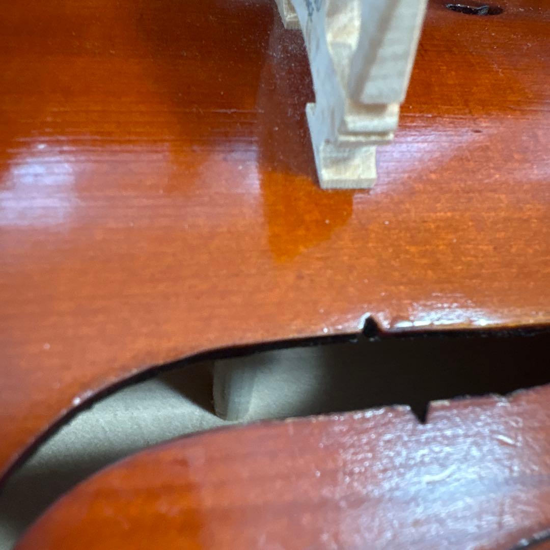 EASTMAN 1/4 バイオリン 2021年製 VL80