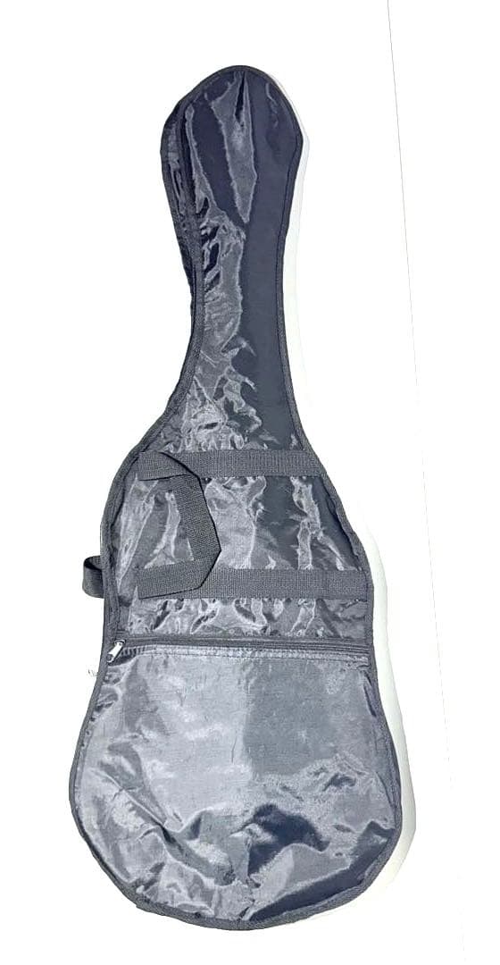 【希少】Rock’n’roller AriaProII Rickenbacker