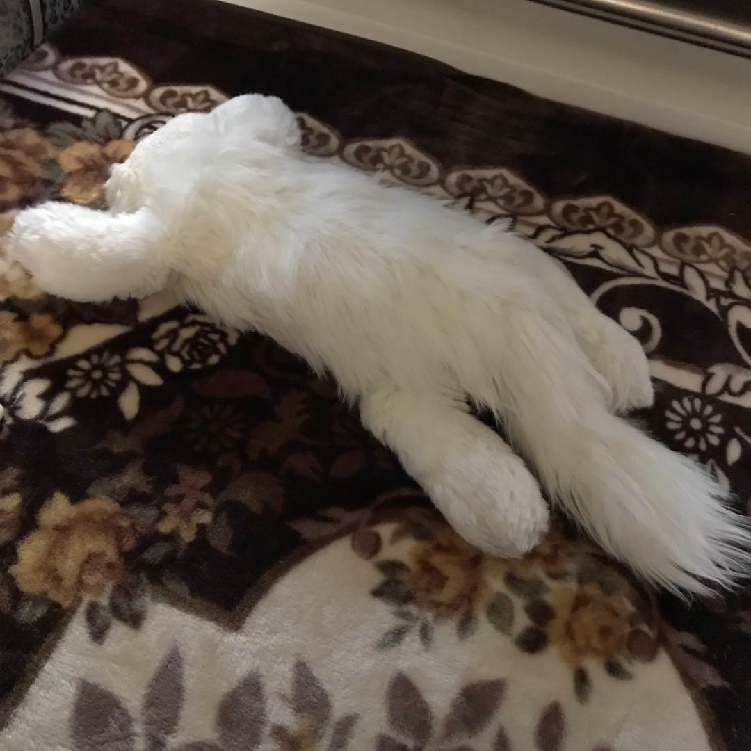 ぬいぐるみ　猫　ねこ　ペルシャ猫　レトロ❣️