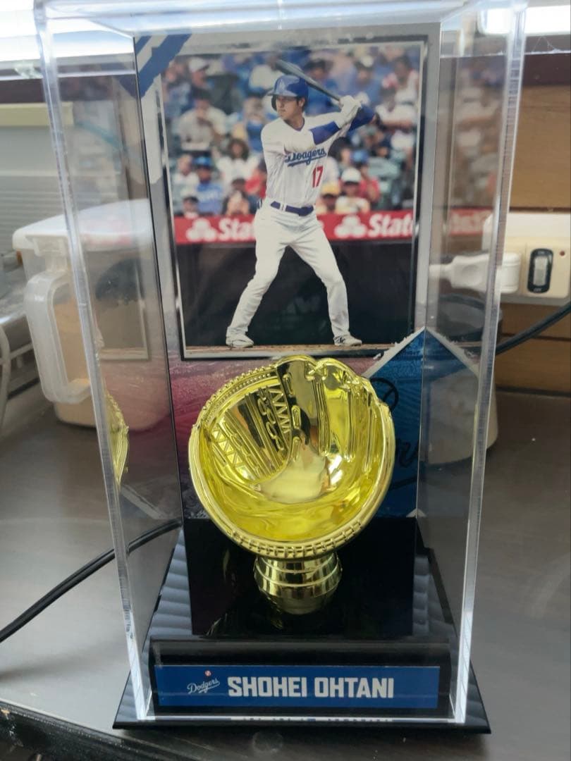 大谷翔平、山本由伸、佐々木朗希 直筆トリプルサインボール