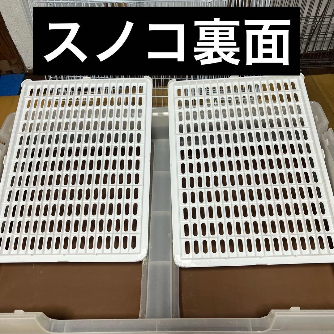 うさぎのカンタンおそうじケージ　ワイドB