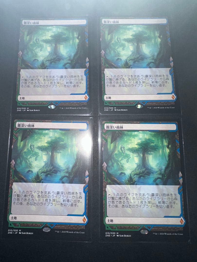 霧深い雨林/Misty Rainforest