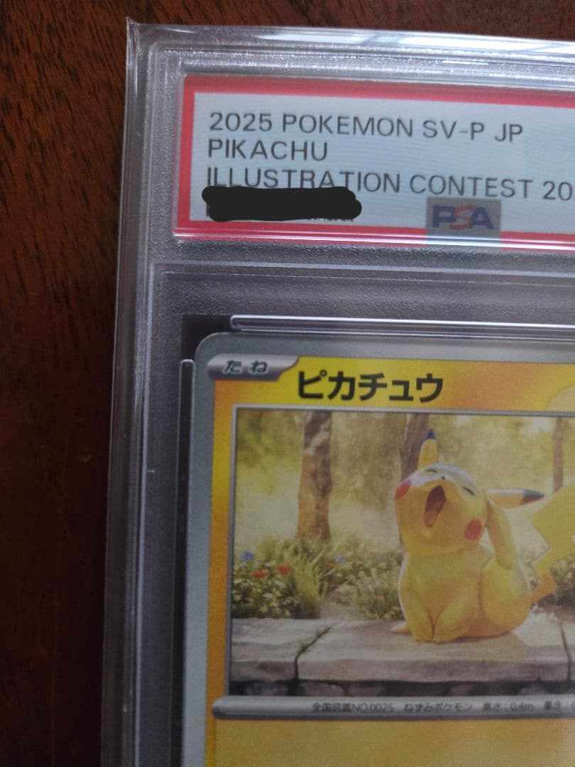 【PSA10】ピカチュウ SV-P イラストレーションコンテスト 2024