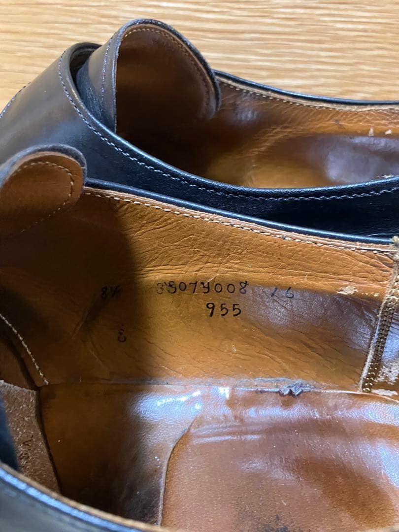 aldenオールデンモンクストラップ ブラックレザーシューズ81/2