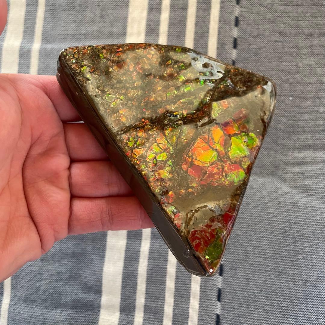 アンモライト 化石 アンモナイト 宝石 原石 大サイズ ドラゴンスキン 博物館