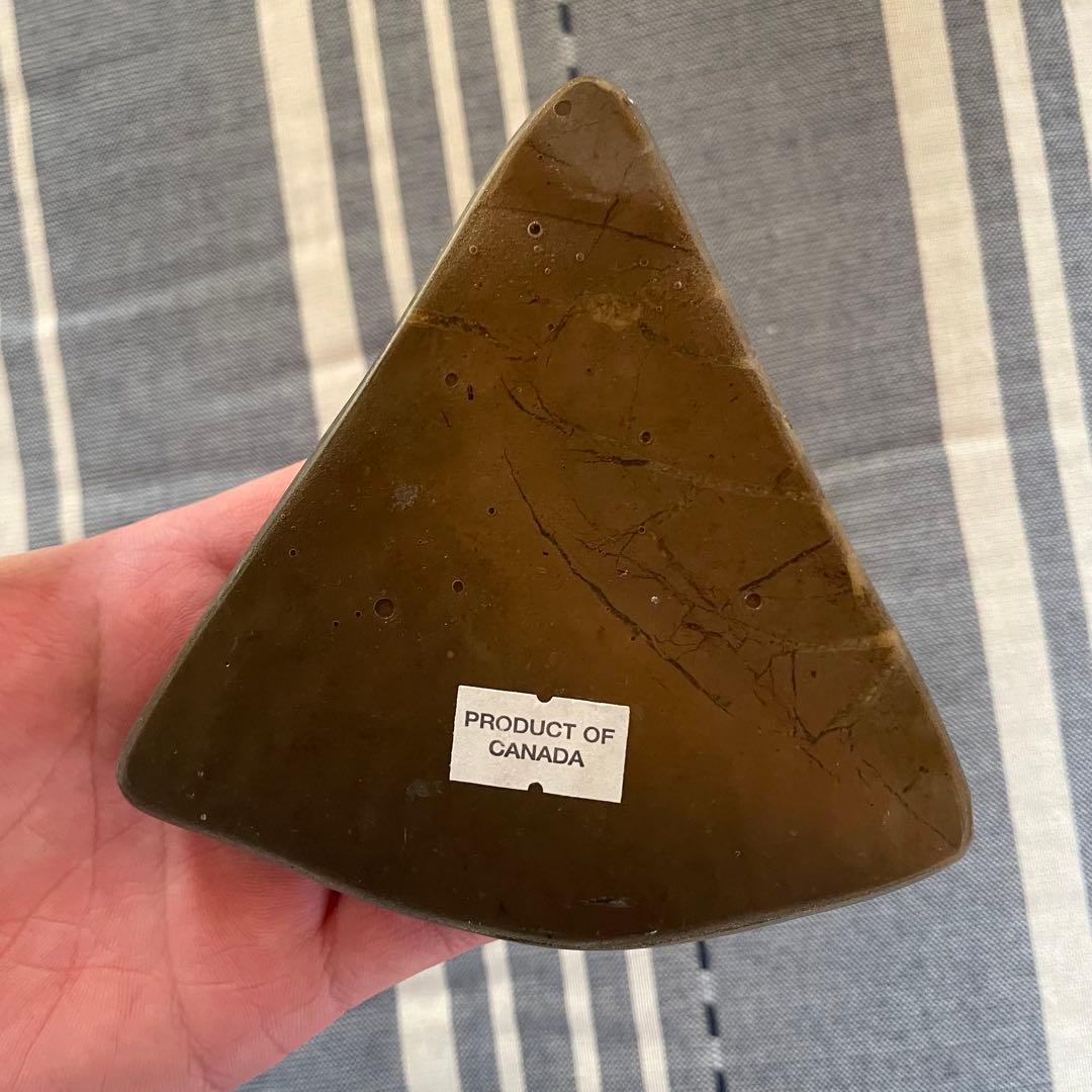 アンモライト 化石 アンモナイト 宝石 原石 大サイズ ドラゴンスキン 博物館