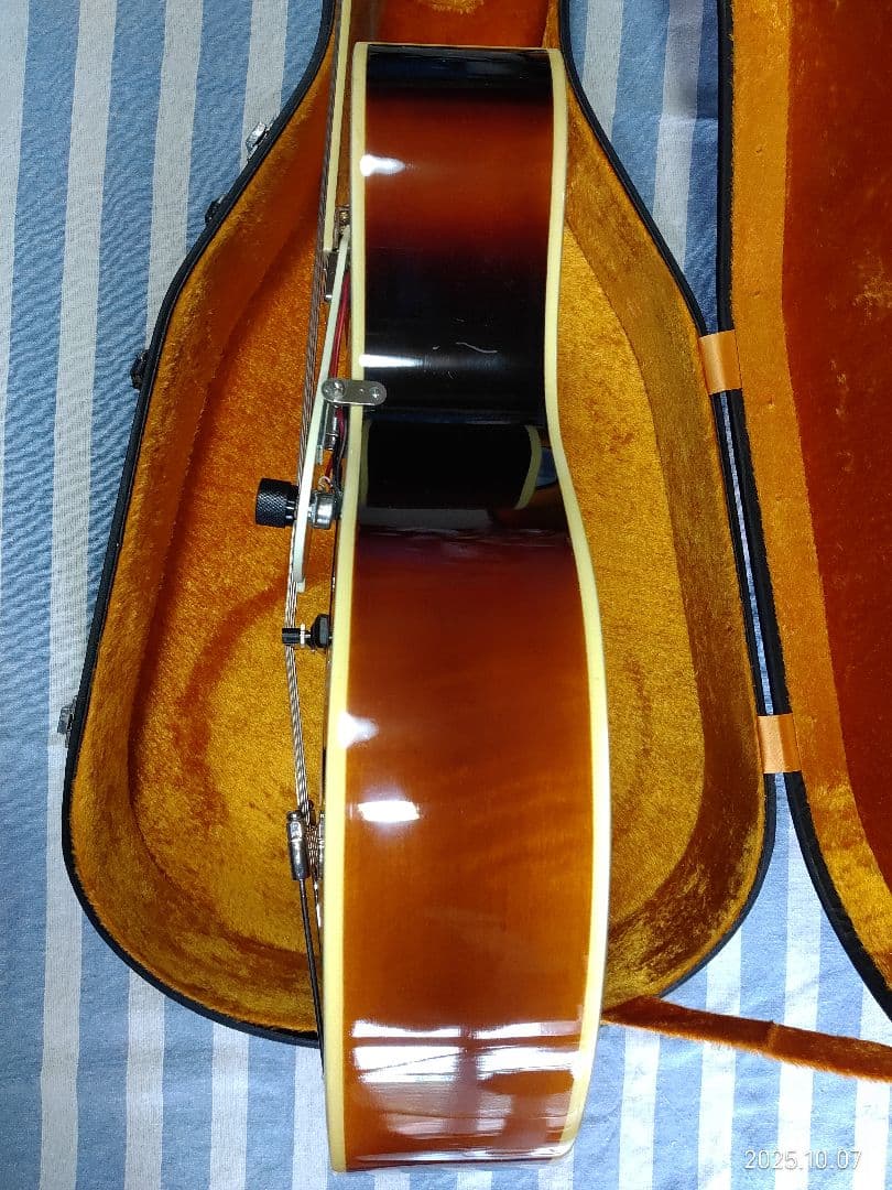 The Loarのハードケース付き1ハムフルアコLH-650vs使用感少な目美品