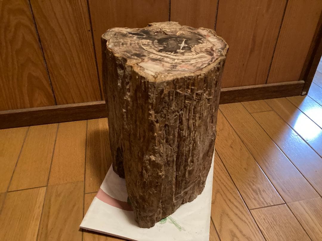 木化石　ブラジル産　30Kg弱くらい　珪化木 受け渡しも可能です