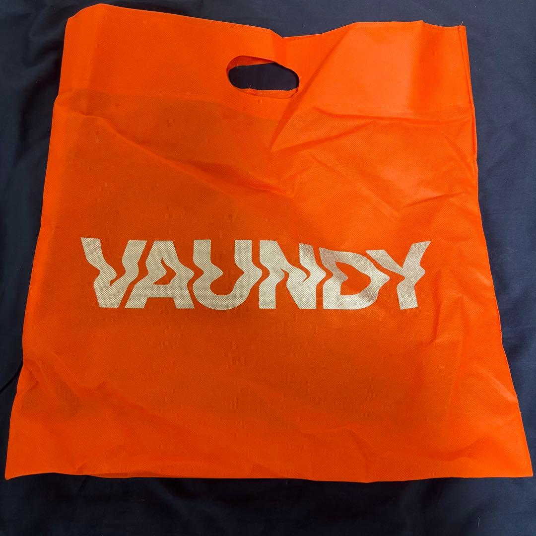 【タンタン】 vaundy fusion マルチトートバッグ リュック