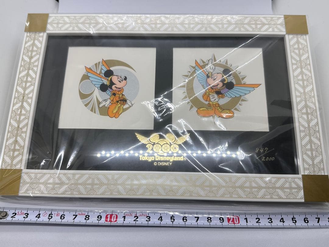 《希少》TDL 東京ディズニーランド　ミレニアム リトグラフ　世界限定2000個
