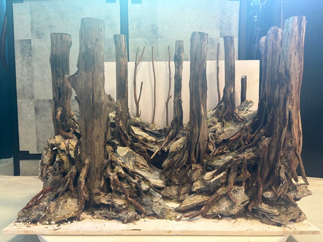 アクアリウム　水槽　レイアウト　流木