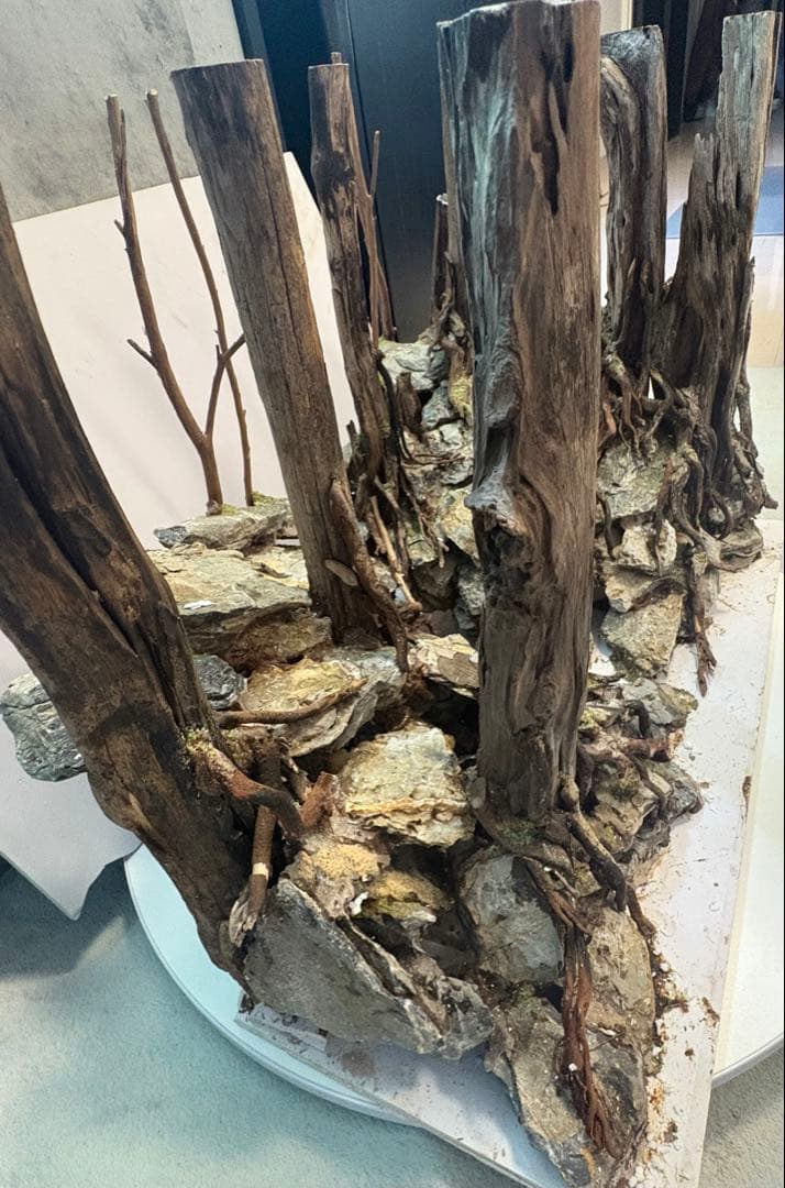 アクアリウム　水槽　レイアウト　流木