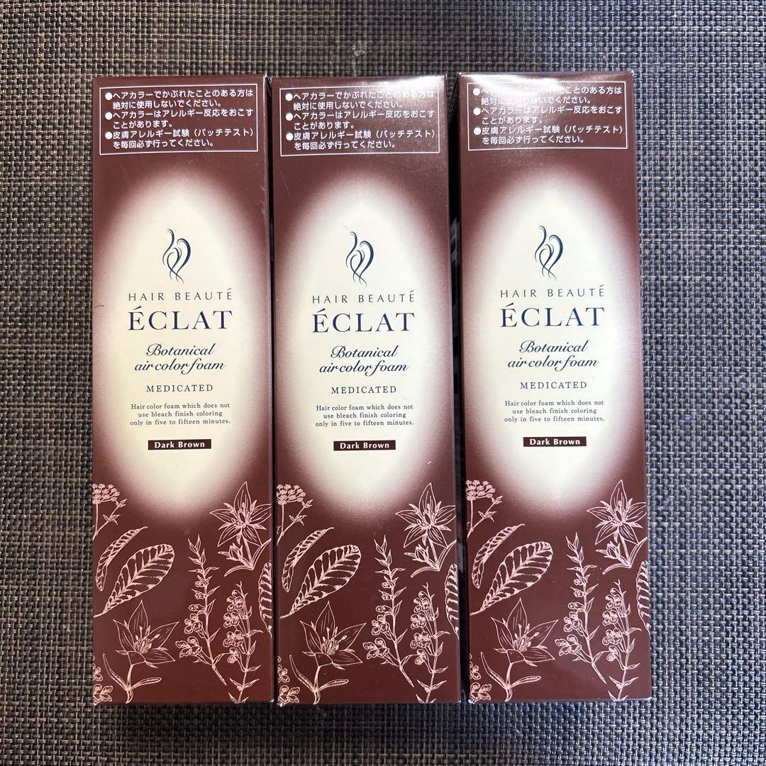 ヘアボーテ エクラ ボタニカルエアカラーフォーム　ダークブラウン150g×3本