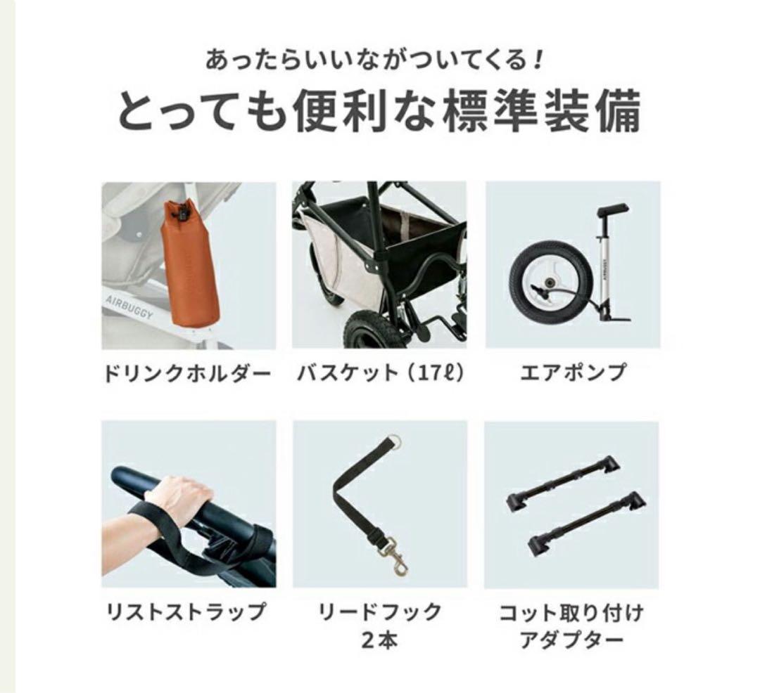 新品未使用【エアバギー】ドーム3レギュラーアースブラック