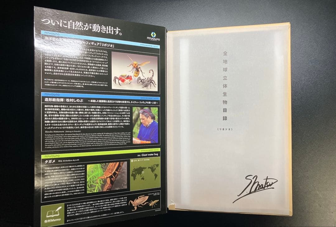 希少　海洋堂　リボジオ　タガメ